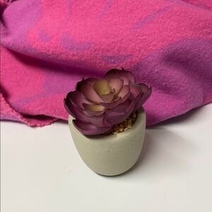 Purple Succulent in White Pot